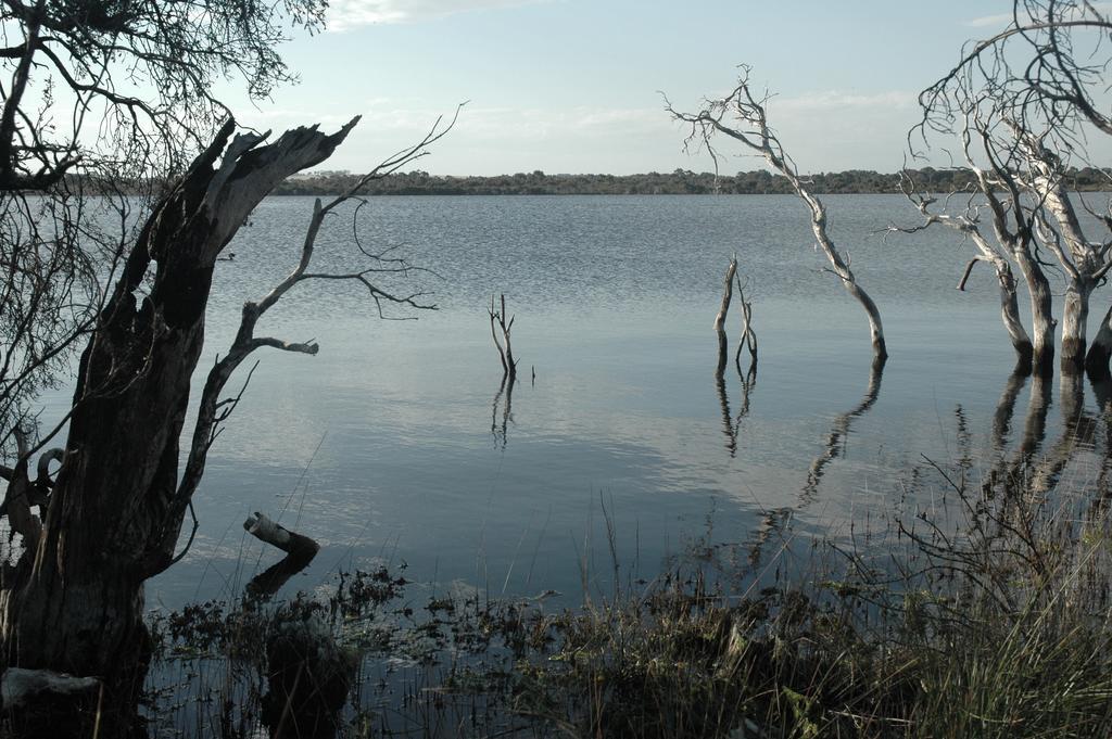 Вилла Esperance Coastal Retreat Экстерьер фото